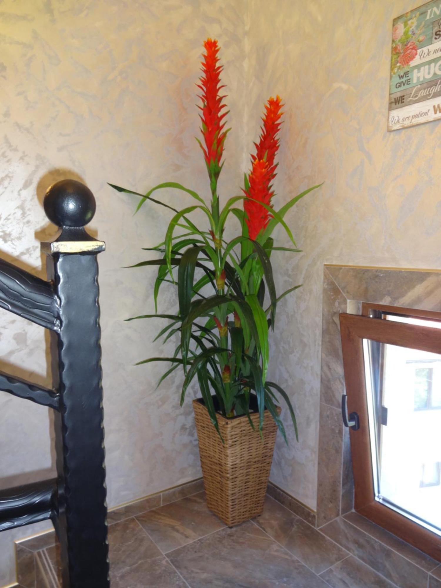 Apartments Dona Chernomorets Esterno foto